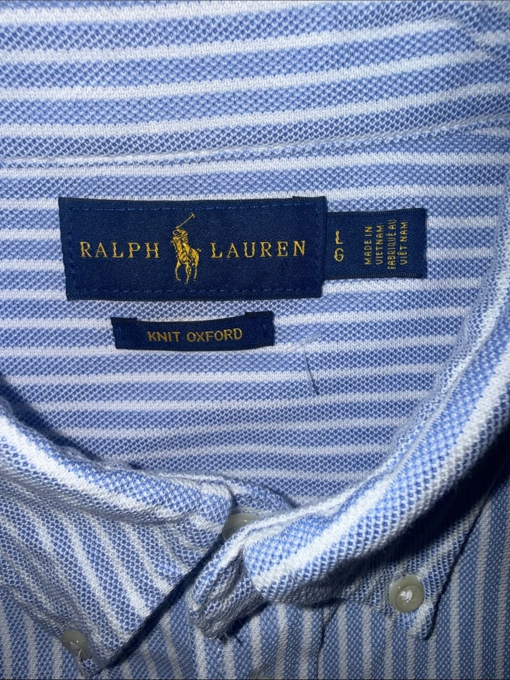 Ralph Lauren Kids Blue White Striped Knit Oxford Button Down Shirt Large L G
